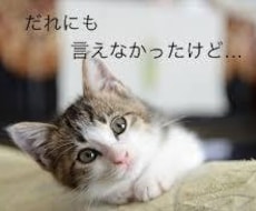 ママ、妻としての日頃の悩みをききます イメージ1