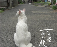 筆文字書きます！
