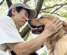 懐かない野犬（保護犬）が家族になるサポートをします （水族館で多くの野生動物経験を、野犬のしつけに活用）