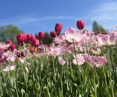 ちょっとした悩みから大きな悩みまで受け止めます イメージ1
