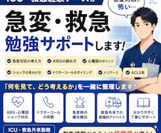 ICU・救急経験ナースが急変対応をサポートします イメージ1
