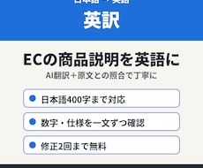 英訳！ECの商品説明を自然な英語に翻訳します イメージ1