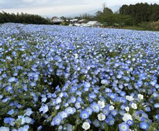 あなたの作品を褒めちぎります イメージ1