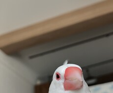 転職希望者のご相談にのります イメージ1