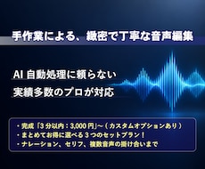 音声編集のプロが3分一律＆セット価格で対応します イメージ1