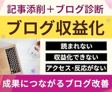 ブログ記事添削診断⭐︎収益化に向けて全体改善します アフィリエイト×SEO×収益化の問題点を記事添削＋ブログ診断