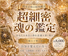 限定1枠★【魂の鑑定】対面鑑定のように深くます 8000字超の超ボリューム鑑定/画像付き/深掘りリーディング