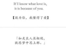 早く、正しく翻訳を致します イメージ1