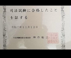 期間内何度でもロー入試の質問受け付けます 司法試験合格者（講師）がロー入試の質問何度でも受け付けます。