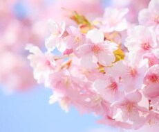 元精神科作業療法士が話し相手になります イメージ1