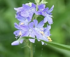 心のモヤモヤを聞きます イメージ1