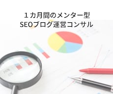 1カ月間【SEO・ブログコンサルティング】受けます 【初心者向け】ブロガーとして自分のブログで収益化したい人