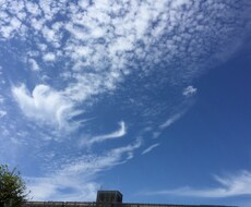 神様事家系の血筋でわかる、貴方への腑に落ちるメッセージをお伝えします。 イメージ1