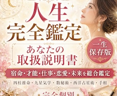 一生保存版｜人生完全鑑定・あなたの取扱説明書ます イメージ1