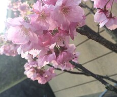 心理学的観点からのアドバイス。恋における悩みや、人間関係、人間依存などへのアドバイスをいたします。 イメージ1