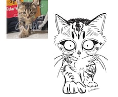 ペット似顔絵\ \ネコ様/ /の似顔絵描きます イメージ1