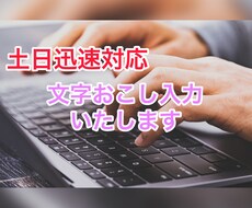 最短即日10分以内1000円で文字起こしいたします イメージ1