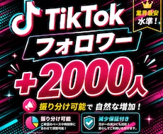 TikTokのフォロワー2000人拡散します イメージ1