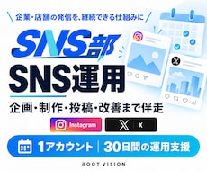 企業のSNS運用を企画から制作・改善まで支援します イメージ1