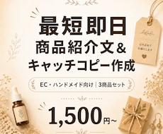 即納品｜商品紹介文＆キャッチコピー作成します 売れる言葉で、商品の魅力を引き出す