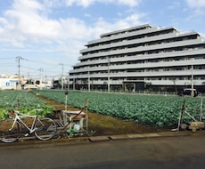 千歳烏山のことを何でも教えます ～ローカル過ぎる情報を知りたい方へ〜