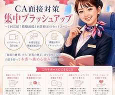 現役CAがあなたと一緒により良い回答を考えます 【現役CA】模擬面接50分＋回答ブラッシュアップサポート！