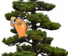 動画編集します イメージ1