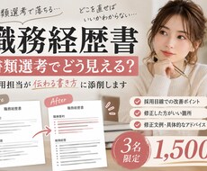 書類選考で伝わらない理由まで職務経歴書を添削します イメージ1