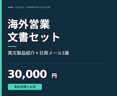 海外営業の英文資料と日英メールを作成します イメージ1