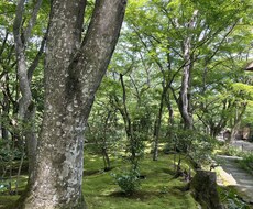 気楽にお話しませんか^ ^是非宜しくお願いします イメージ1