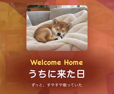 クーポン配布中 うちの子の思い出動画作ります イメージ1