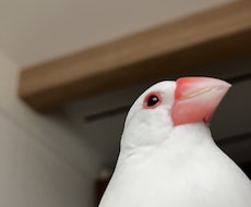 動物病院の就職支援します イメージ1