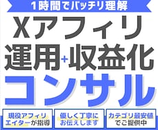 X(Twitter)の収益化方法をコンサルします 期間限定カテゴリ最安値！Xアフィリ収益化のコツを1時間伝授