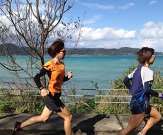 ランニング、マラソンのトレーニング計画を作成します イメージ1