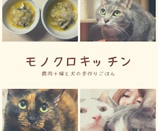 猫ちゃんのお食事に関するお悩み相談にのります イメージ1