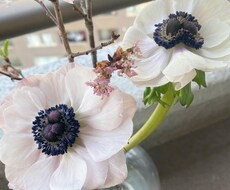 4月限定♡恋愛タロット2000→500円で占います 好きな人や気になる人♡を霊視し、相手の気持ちをお伝えします♡
