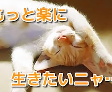 繊細で傷つきやすいあなたの心を癒します