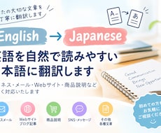 メール・商品説明・Web文章などを英日翻訳します イメージ1