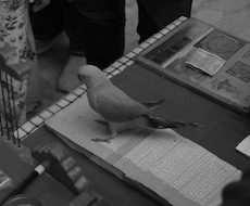 静かな人生整理セッションであなたの悩み改善します イメージ1