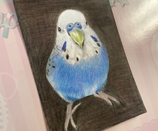 オーダーメイド色鉛筆画　世界に一つの原画になります イメージ1
