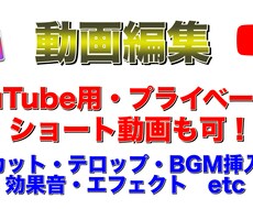 縦動画も可！動画編集を承ります イメージ1