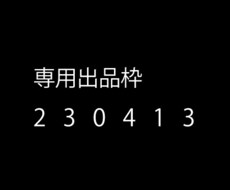 230413専用でございます 専用の出品枠です。他の方は購入できません。