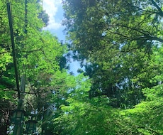 天職を診断します 魂にはまる仕事、心が喜ぶ働き方を見つけませんか？