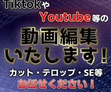 よくある【ごく一般的な】動画編集をご提供いたします