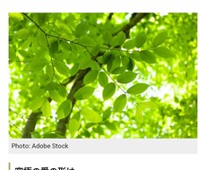 悩み相談解決策考えます雑談もいたします イメージ1