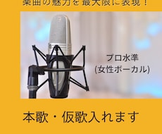 現役のボーカリストがプロ水準の本歌・仮歌を入れます 楽曲の魅力を最大限に表現して欲しい方へ