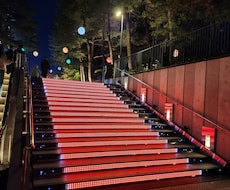 相手の気持ち、短時間で占います イメージ1