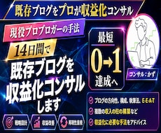 2週間かけプロのノウハウで既存ブログ収益化させます 専属コンサルタントとして貴方に合わせてアドバイス致します