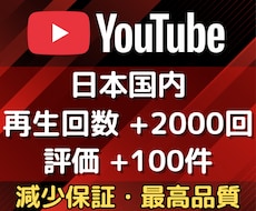 YouTube広告で日本人再生回数＆評価増やします ✨日本国内に宣伝✨再生回数2000回＋評価100件