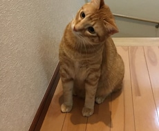 何でもLINE感覚で、お話し聞きます イメージ1